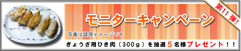 モニターキャンペーン
