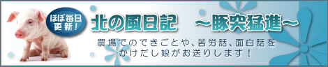 北の風日記